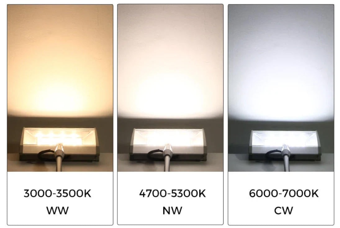 Color Temperature Guide for Exhibition Lighting